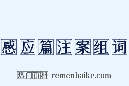 感应篇注案组词是什么意思的图片